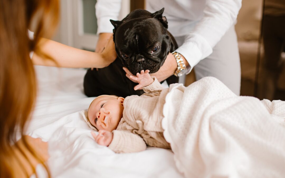 Czego nie robić na sesji z dzieckiem?